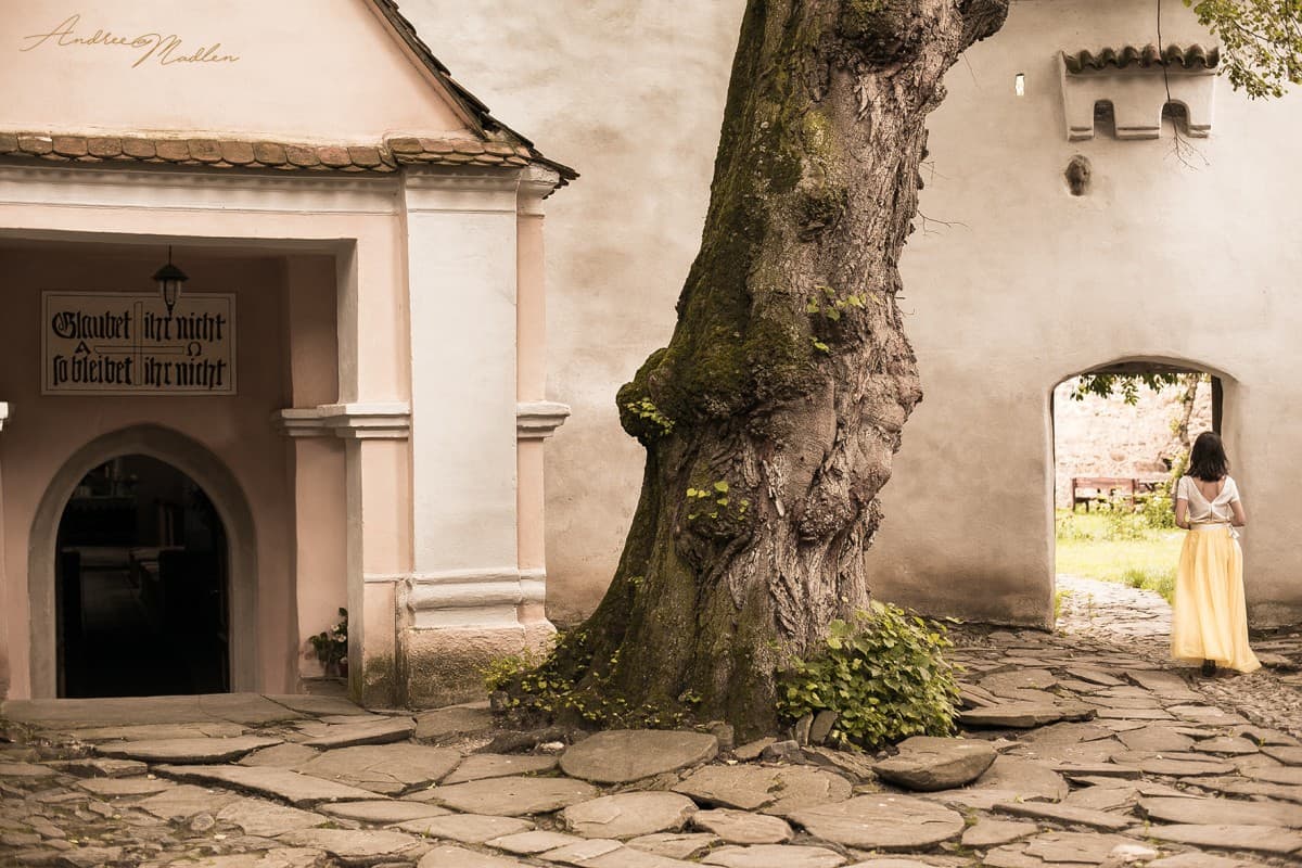 Cincsor. Transylvania. Gueasthouses 12