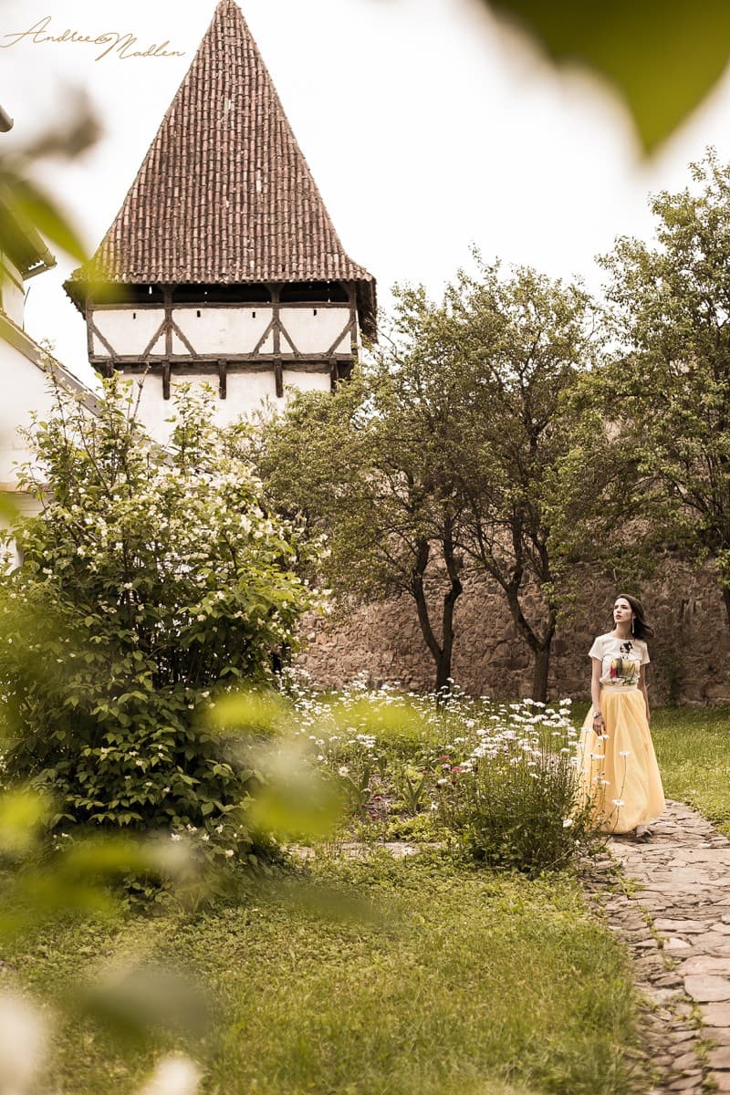 Cincsor. Transylvania. Gueasthouses 13