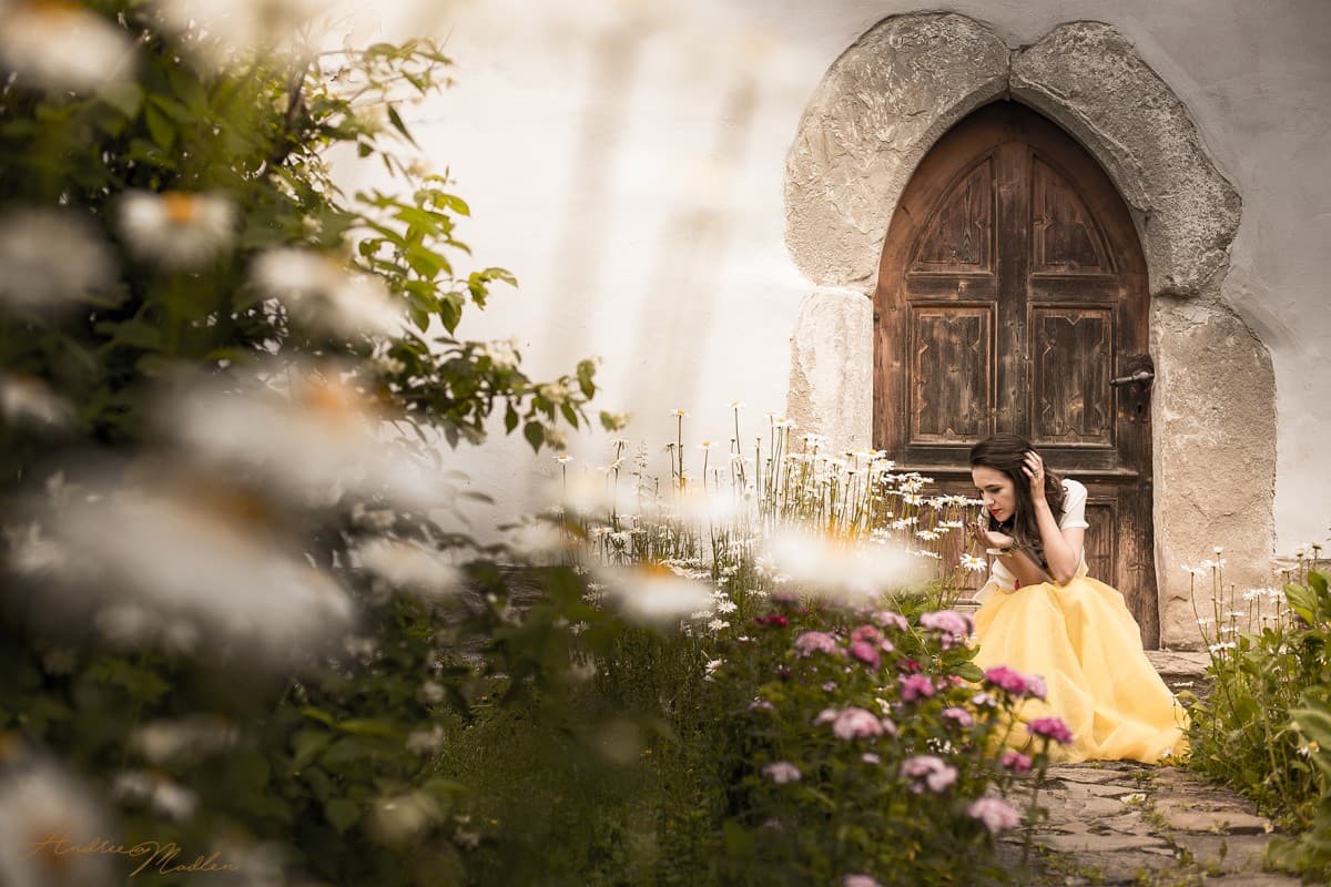 Cincsor. Transylvania. Gueasthouses 14
