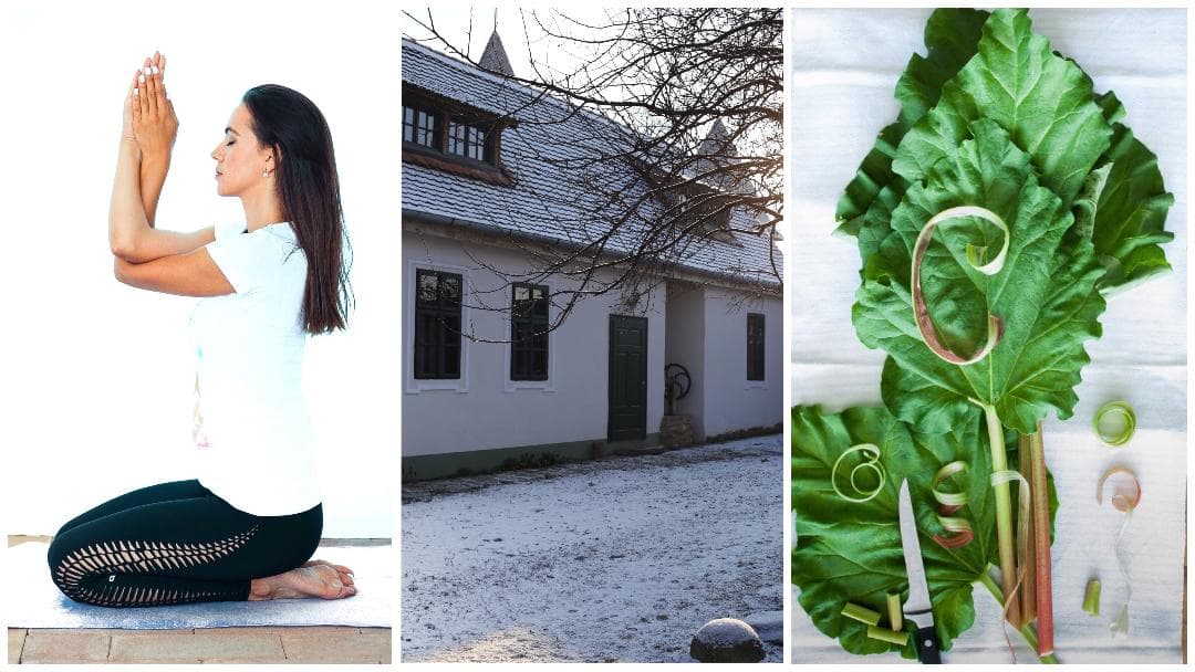 Yoga Holiday Retreat in Transylvania