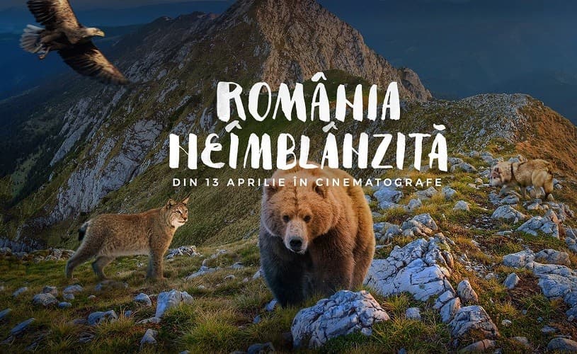România neîmblânzită